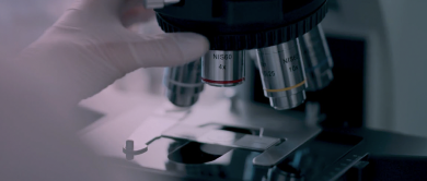 The importance of reporting discrete HER2 IHC scores