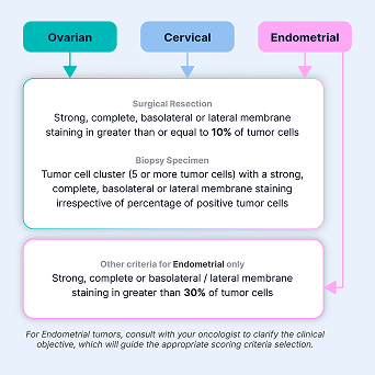 HER2 IHC 3+ Scoring Criteria for Gynecologic Specimens