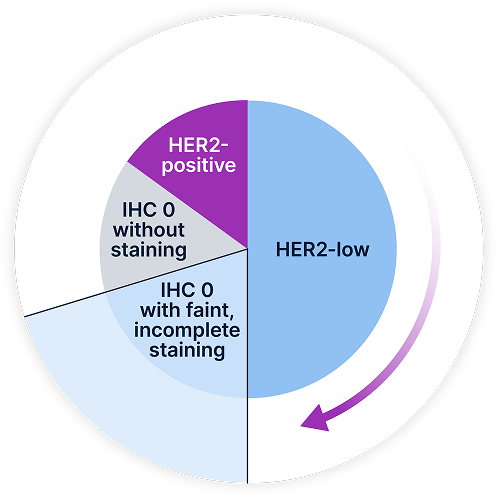 HER2 Spectrum Wheel