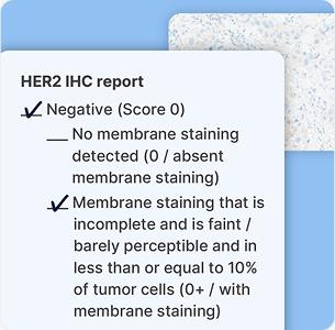 Look Closer at IHC 0 | HER2Know