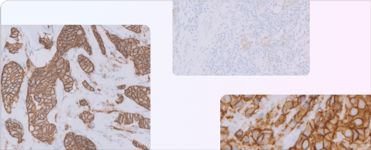 educational cources hero image
