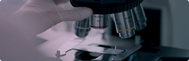 The importance of reporting discrete HER2 IHC scores