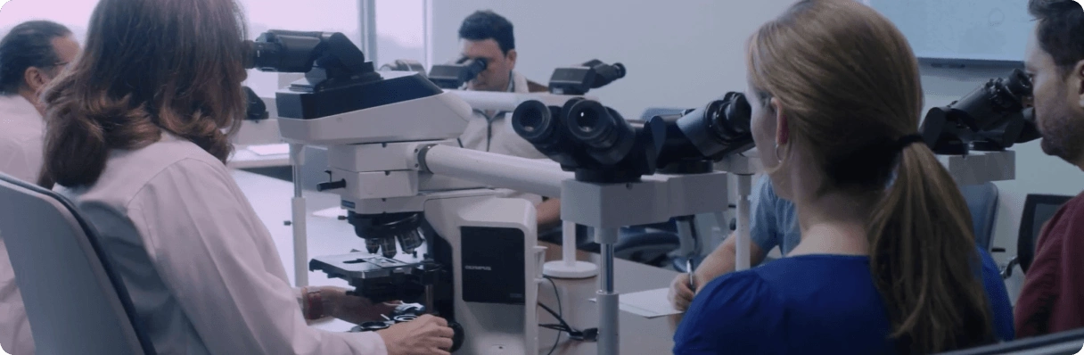 The importance of reporting discrete HER2 IHC scores